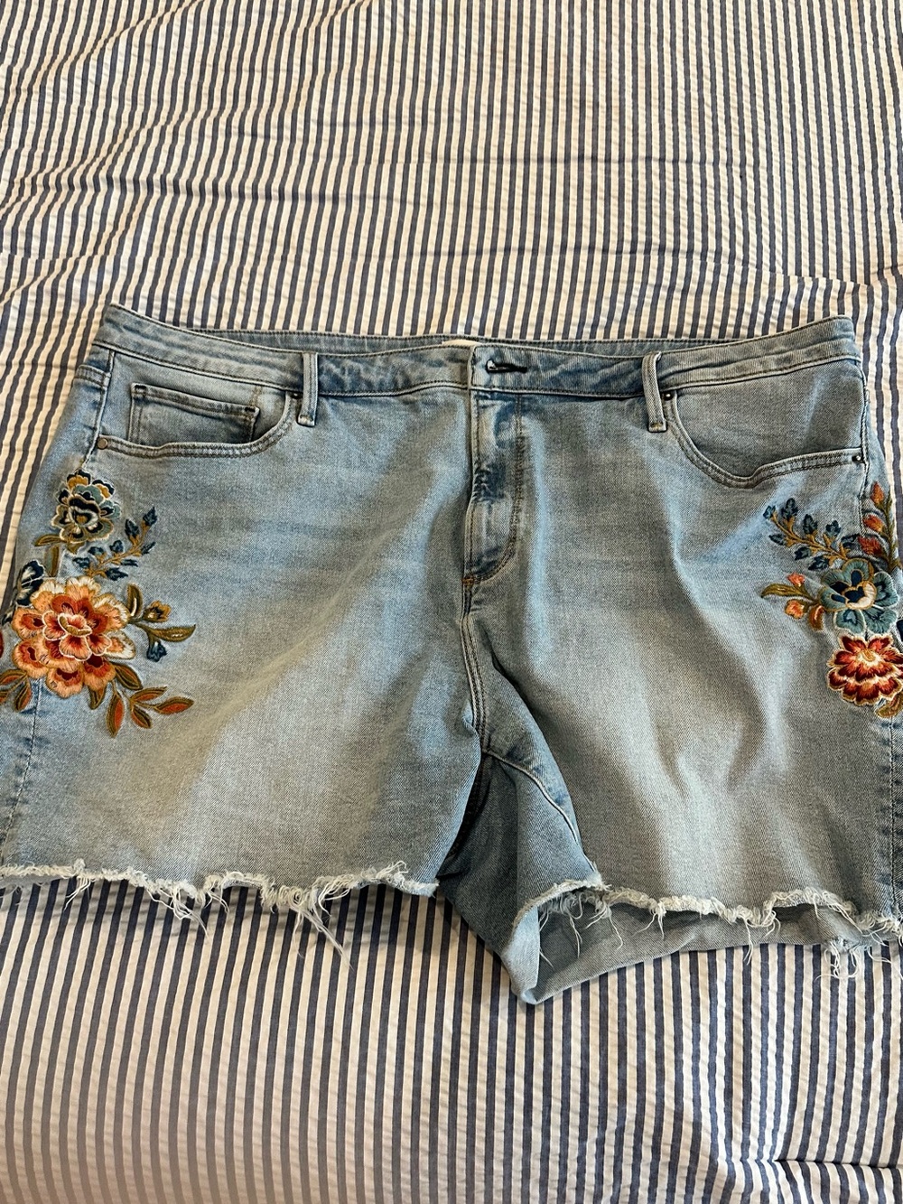 DRIFTWOOD Light Blue Embroidered Denim Shorts